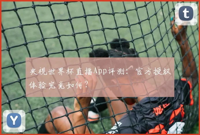 央视世界杯直播App评测：官方授权体验究竟如何？