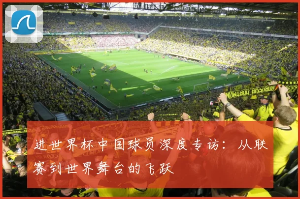 进世界杯中国球员深度专访：从联赛到世界舞台的飞跃