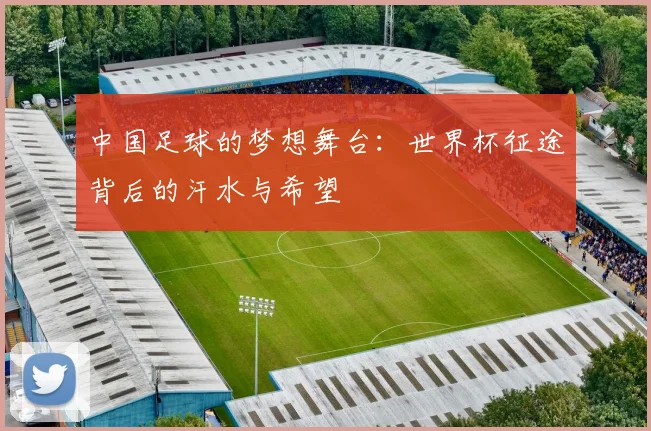 中国足球的梦想舞台：世界杯征途背后的汗水与希望