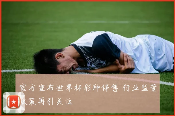 官方宣布世界杯彩种停售 行业监管政策再引关注