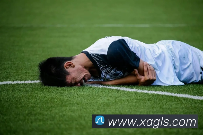 App Interface Preview