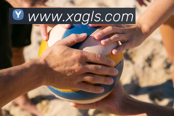 米乐yy易游官网APP 封面图